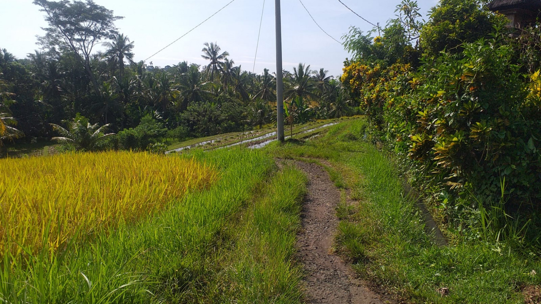 Land with a beautiful view of Soka Beach Road