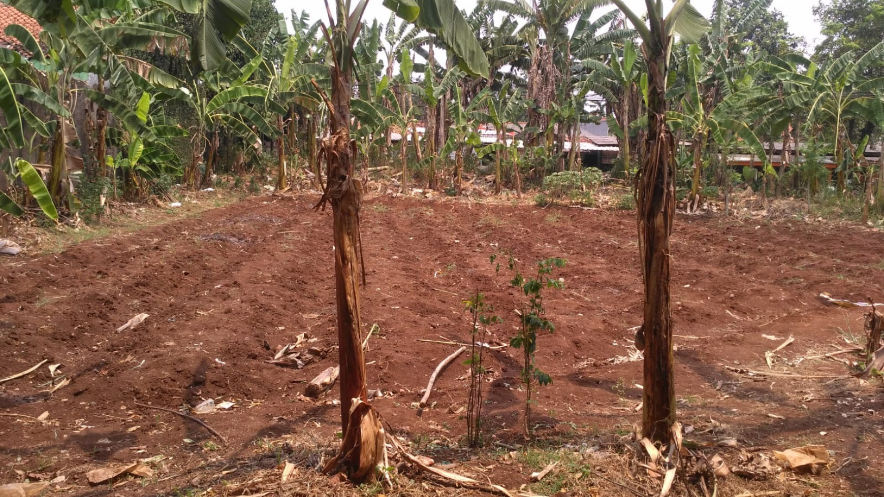 Kavling siap bangun lokasi Jalan Raya di Ciputat