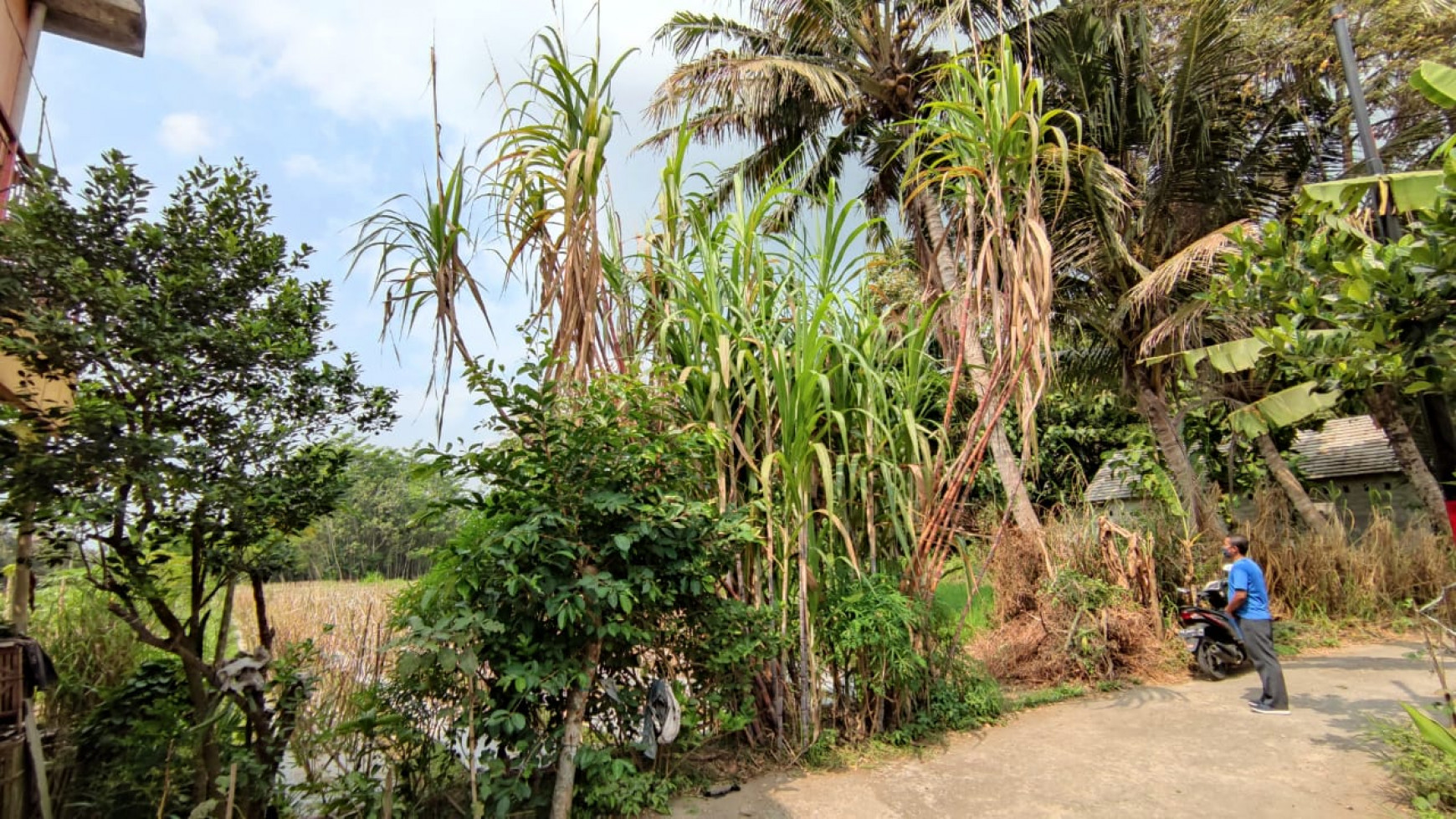 TANAH DI DEKAT JALAN KEBON AGUNG SAYEGAN, COCOK UNTUK RUMAH TINGGAL, RESTAURANT DAN GUDANG