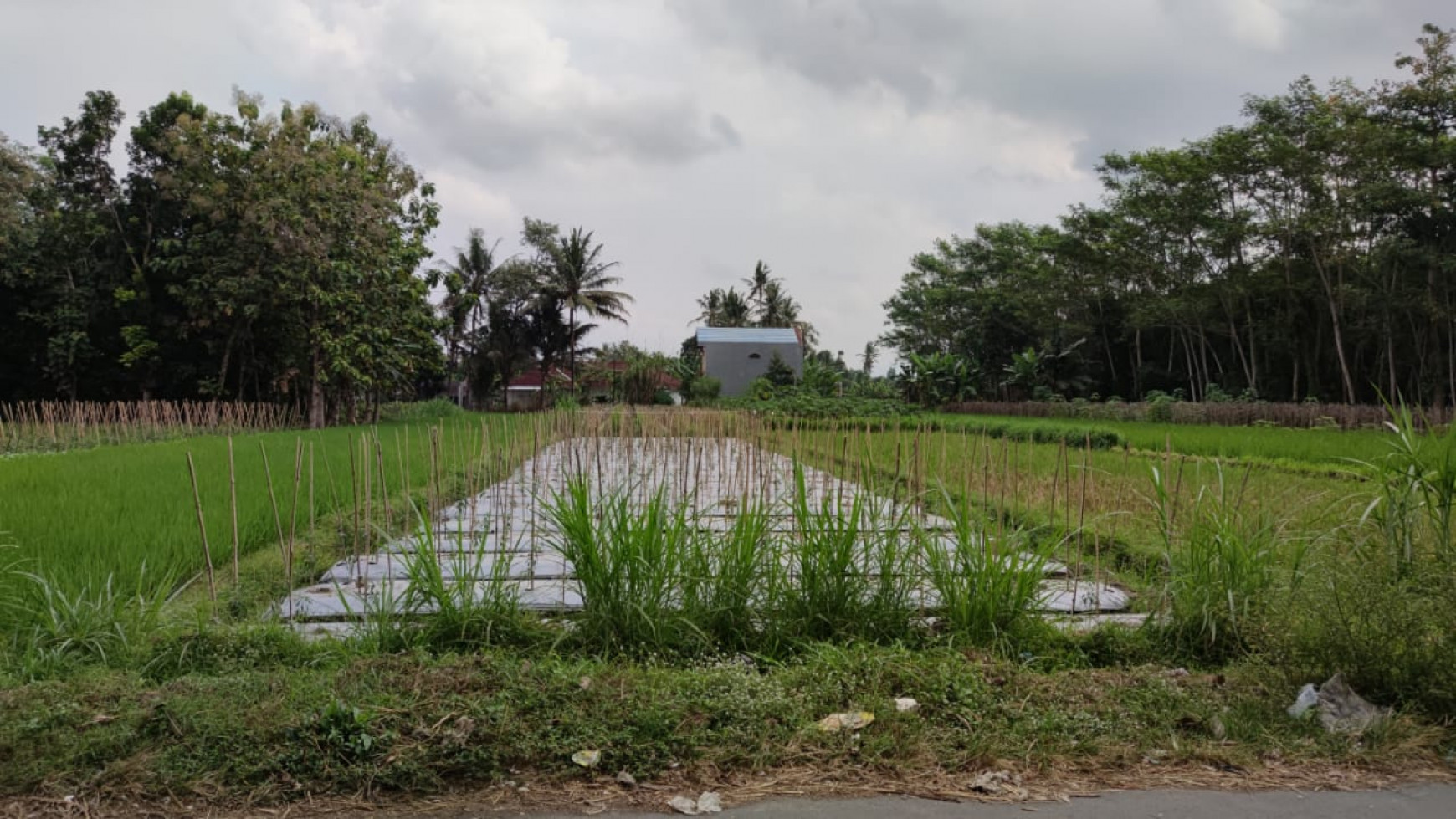 TANAH DI DEKAT JALAN KEBON AGUNG SAYEGAN, COCOK UNTUK RUMAH TINGGAL, RESTAURANT DAN GUDANG