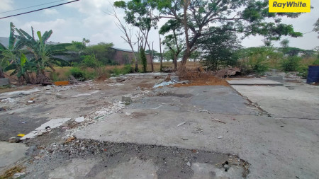 Dijual Tanah SHM di Jalan Raya Cerme, Gresik