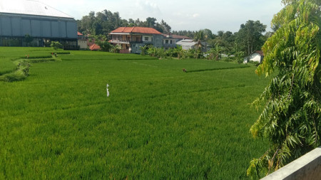 Prime Location Freehold Luxury Joglo Semi Modern with rice field view