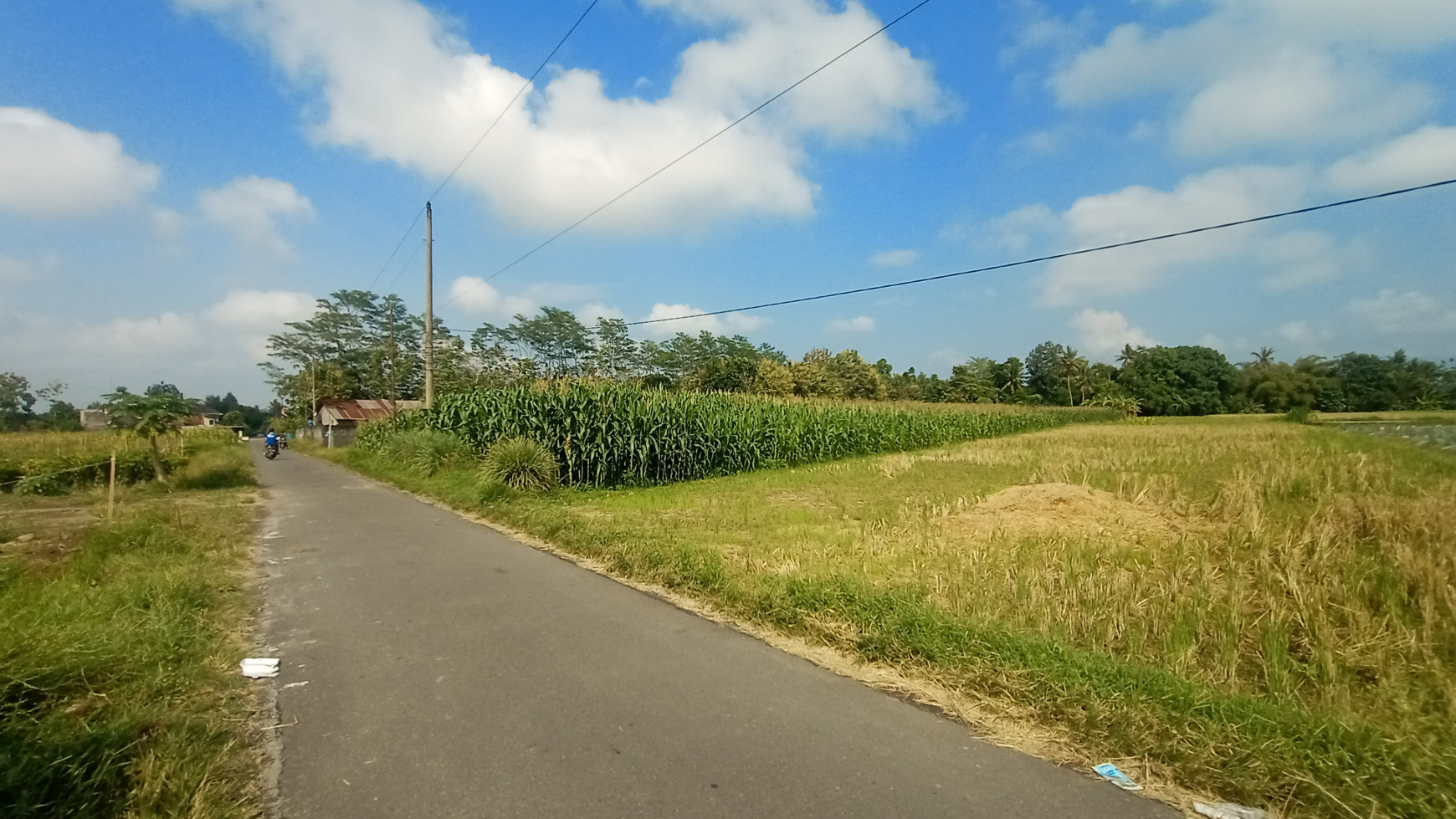 TANAH SAWAH 2416 METER DI SEYEGAN