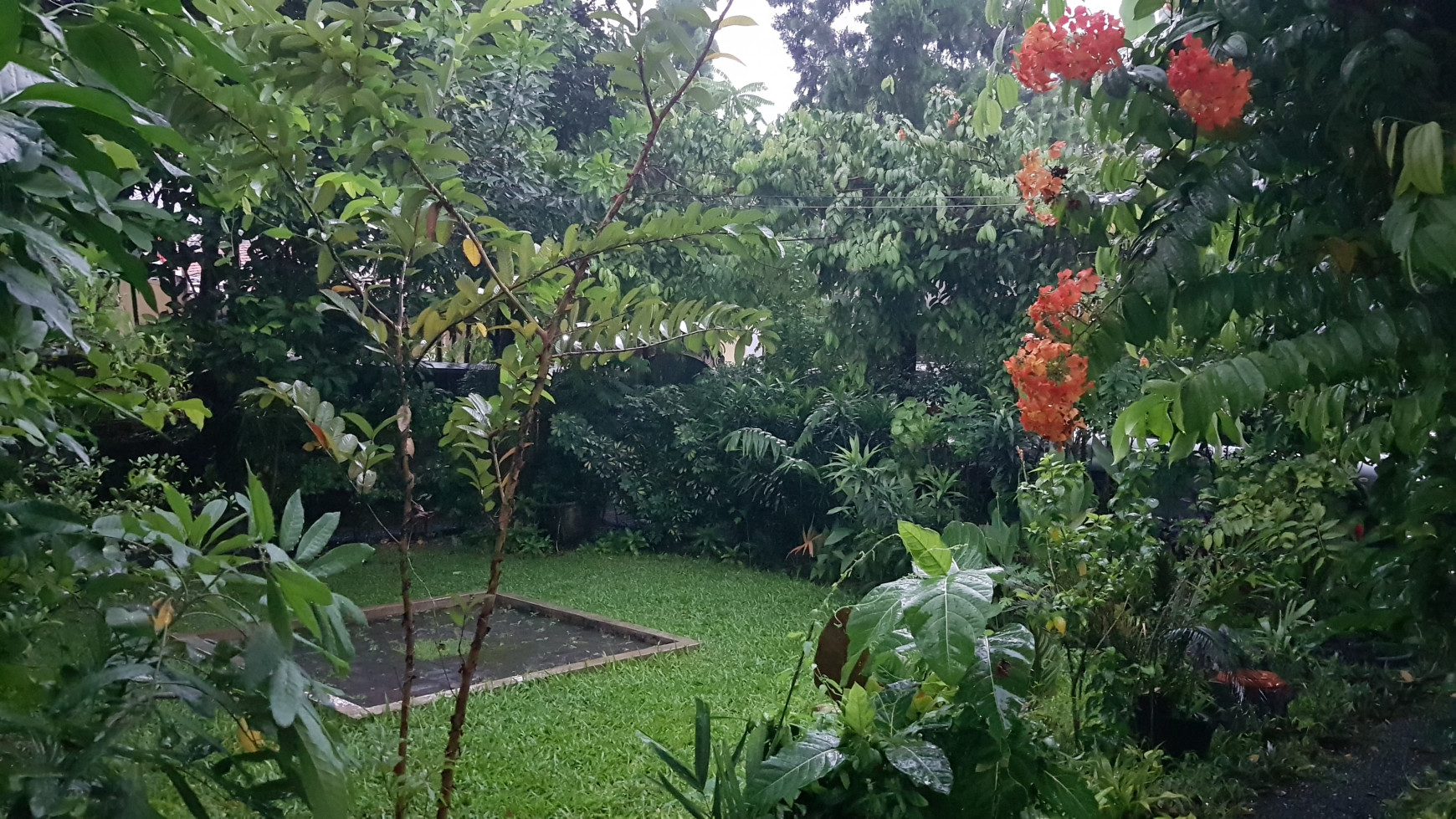 Rumah Lama terawat @ Kemang , Jakarta selatan