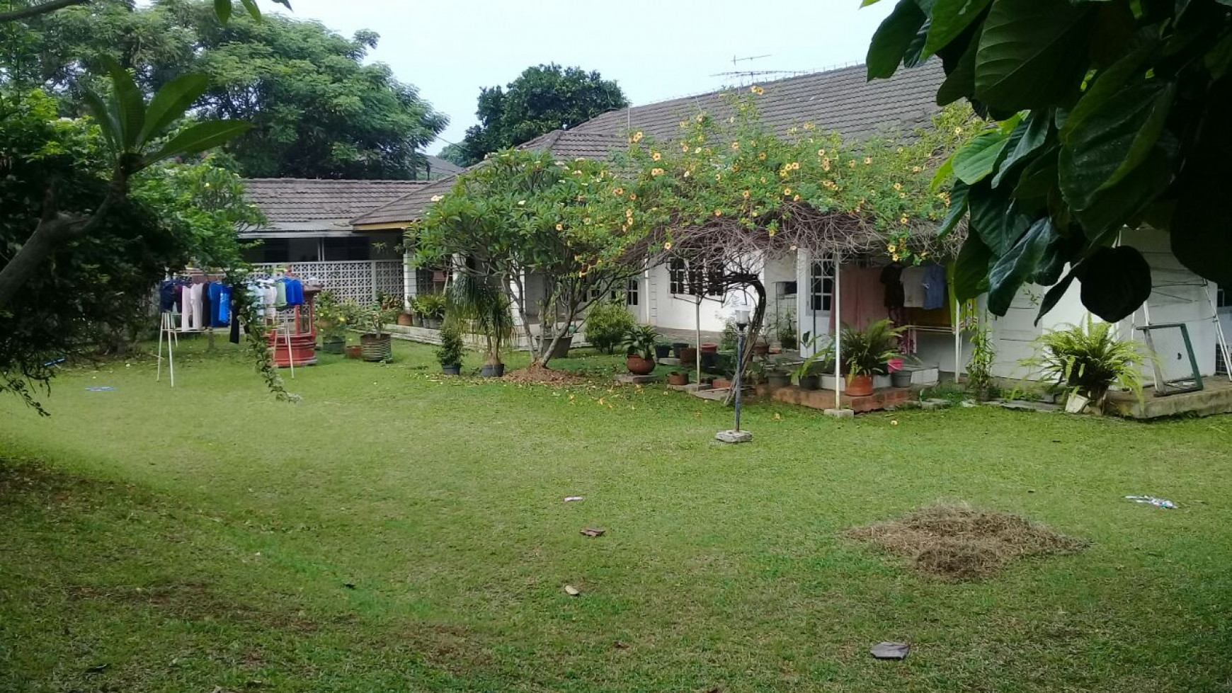 Rumah Lama dengan Halaman yang Luas daerah Cinere Raya