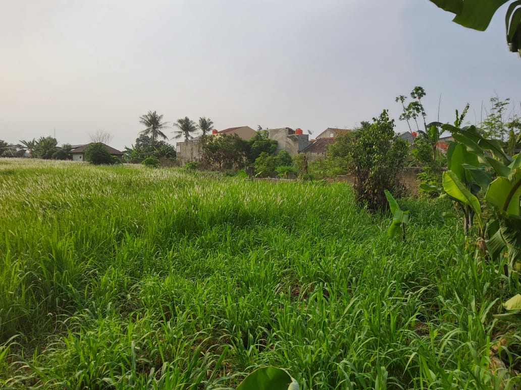 Tanah Luas, Cocok untuk Cluster / Townhouse Lokasi Serpong, Tangerang Selatan.