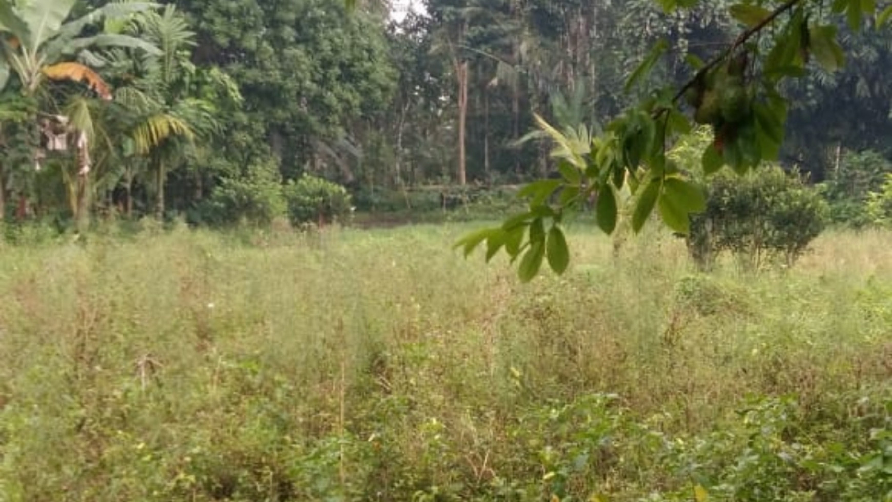 Land of Peace in the Beautiful Village of Ubud