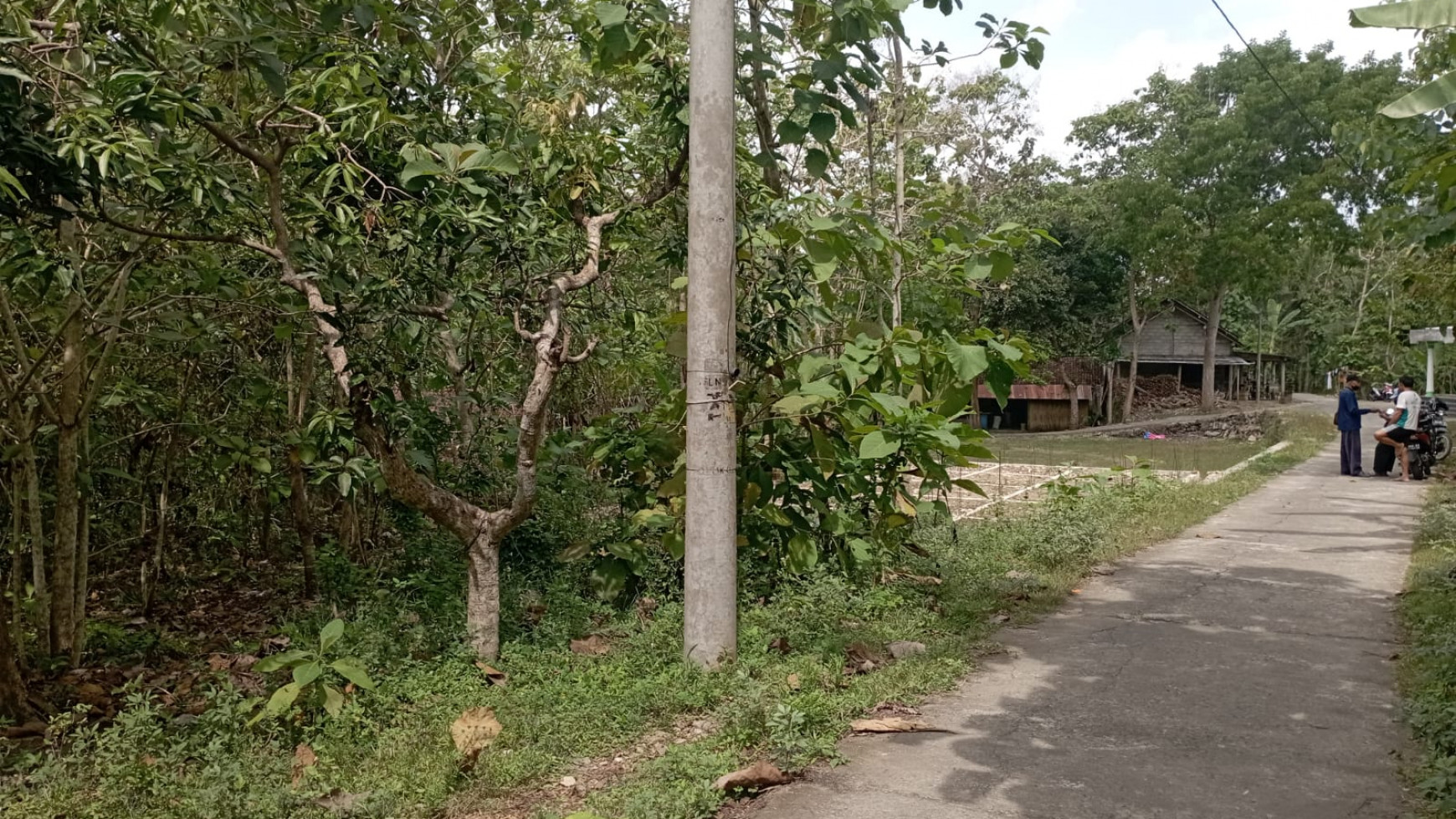 Tanah 1001 Meter Persegi Di Petung Bangunjiwo Kasihan Dekat Awandaru Village