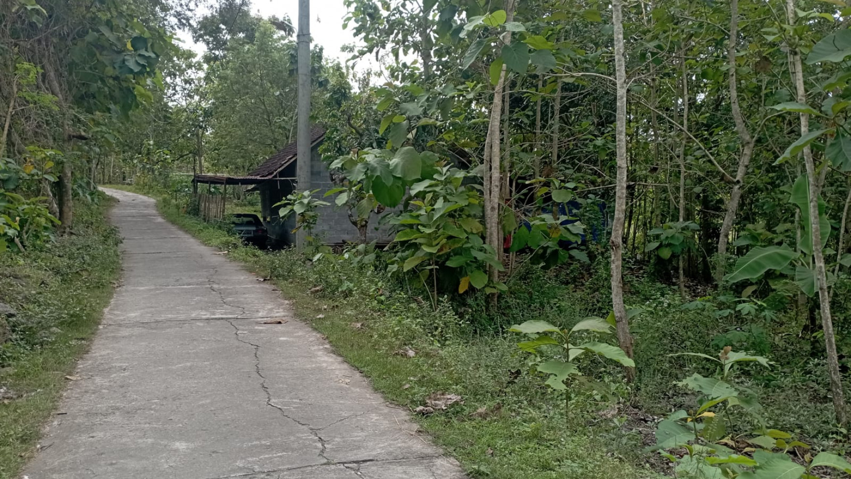 Tanah 1001 Meter Persegi Di Petung Bangunjiwo Kasihan Dekat Awandaru Village