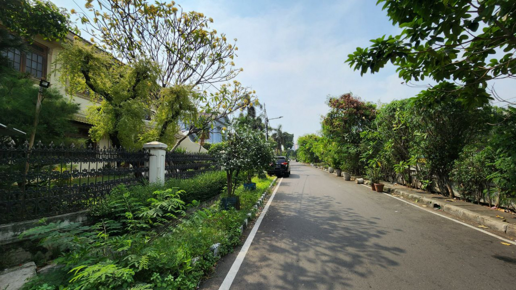 Dijual Rumah Cantik Asri Cempaka Putih Tengah Raya