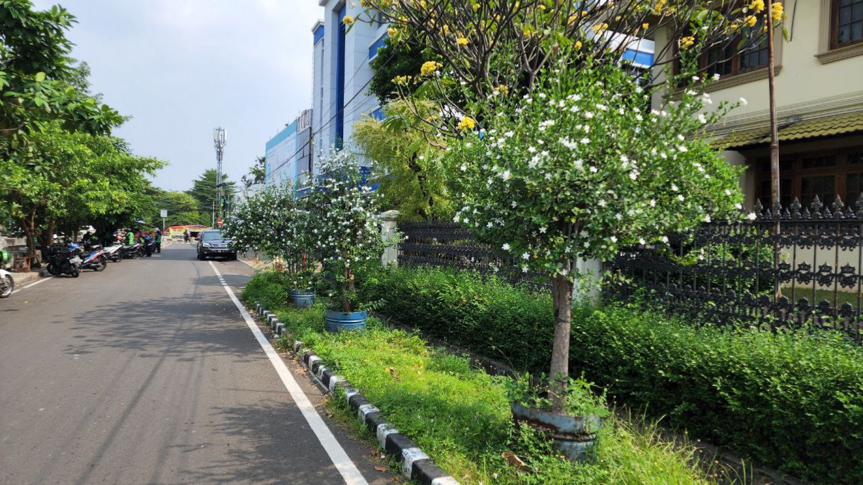 Dijual Rumah Cantik Asri Cempaka Putih Tengah Raya