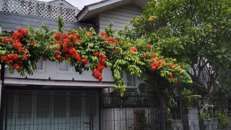 Dijual Rumah Jati Padang Raya, Pasar Minggu, Jaksel