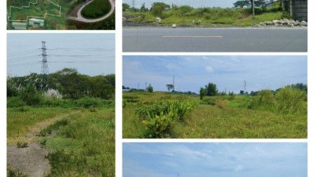 987. Dijual murah Tanah di Nol Jalan Karang Andong, dusun Karang Asem, Driyorejo, Gresik