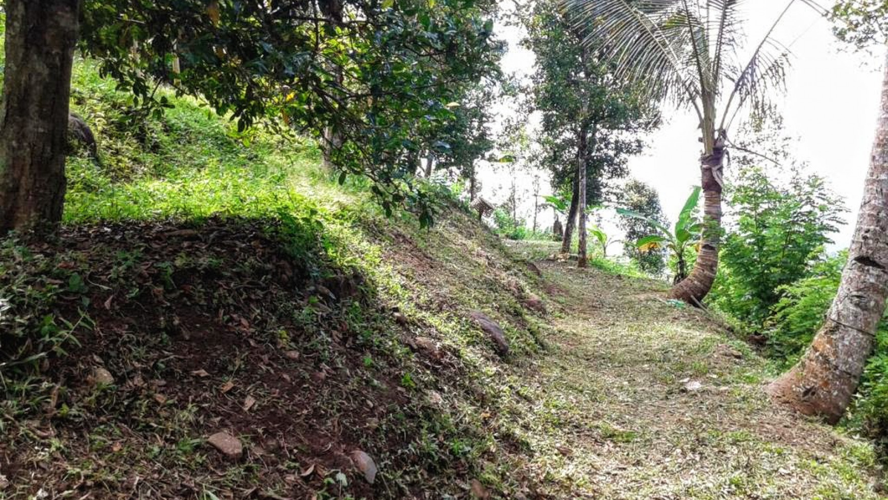 CHEAP LAND FOR SALE IN BUSUNGBIU