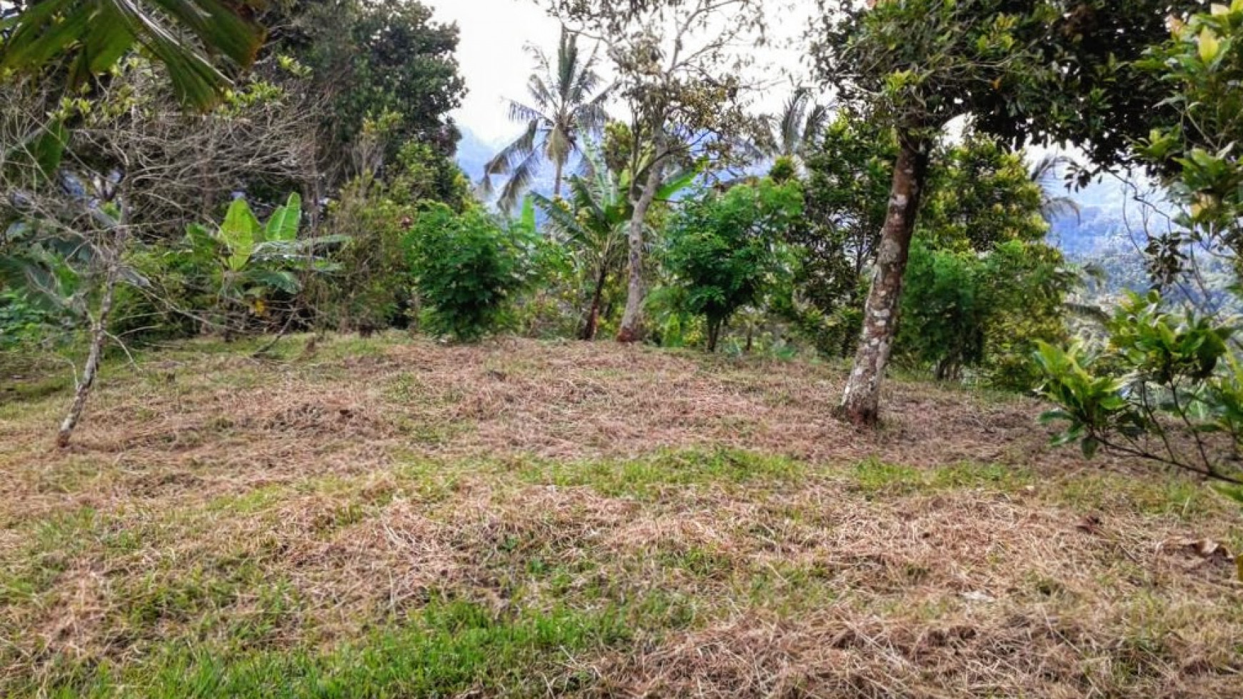 CHEAP LAND FOR SALE IN BUSUNGBIU