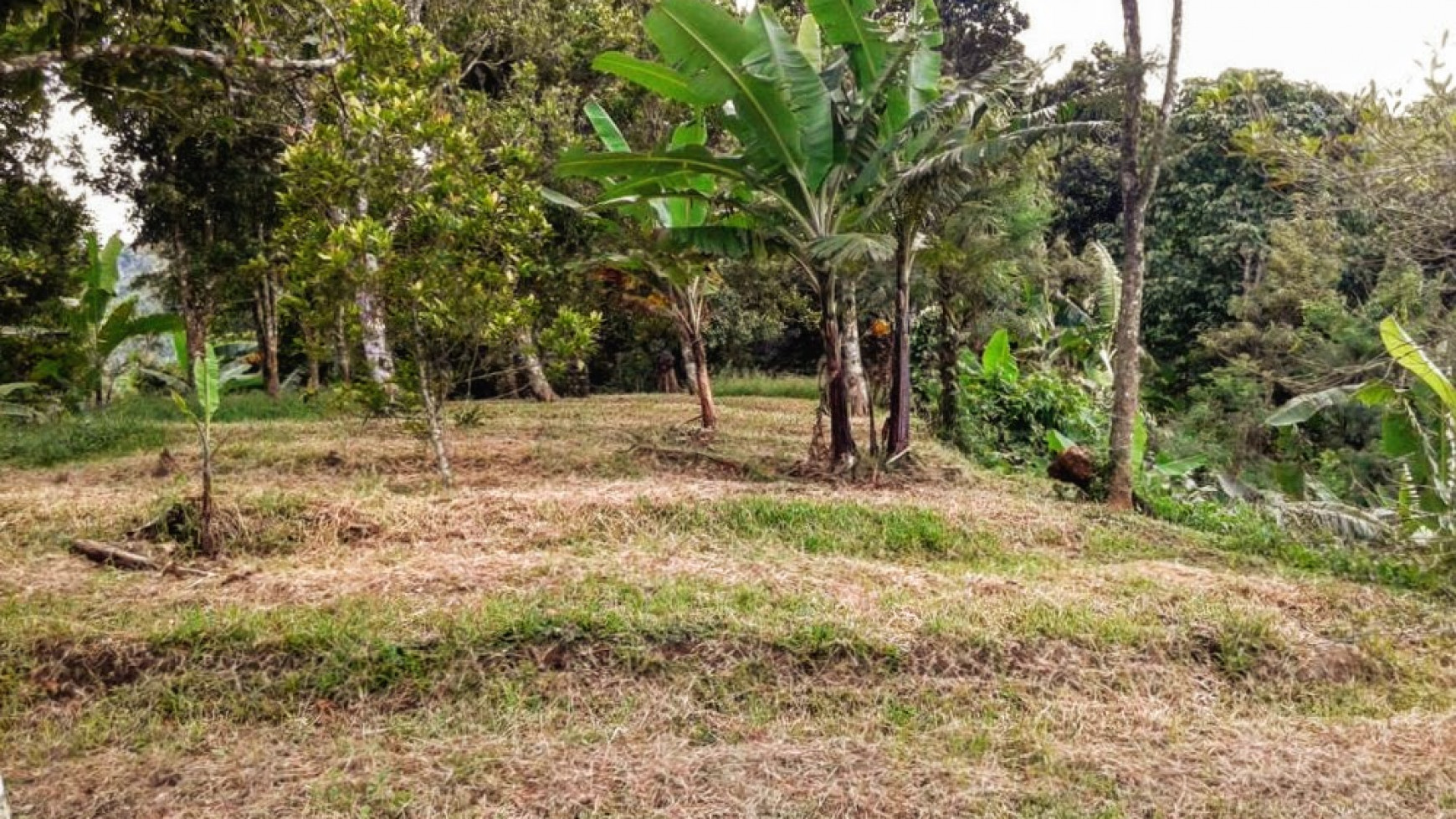 CHEAP LAND FOR SALE IN BUSUNGBIU