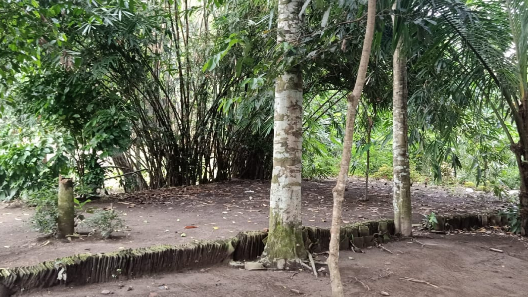 Tanah Pekarangan 362 Meter Persegi Di Seyegan - Tempel Sleman