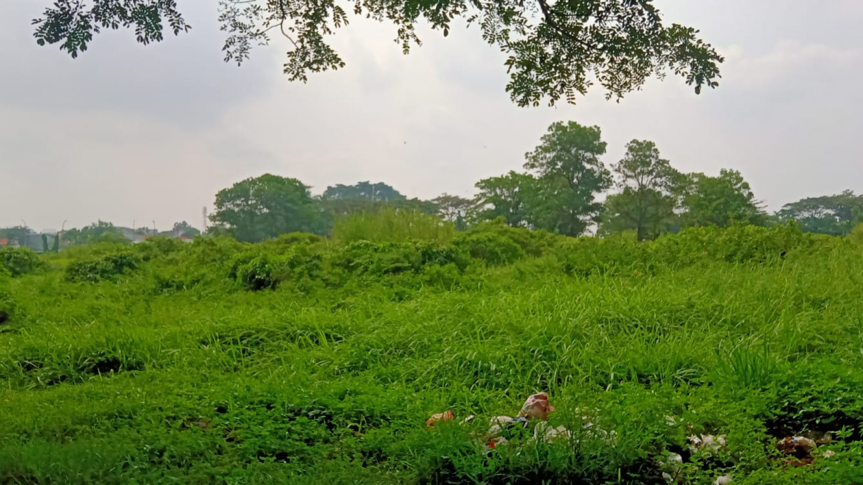 Kavling Besar di Jalur Sutera