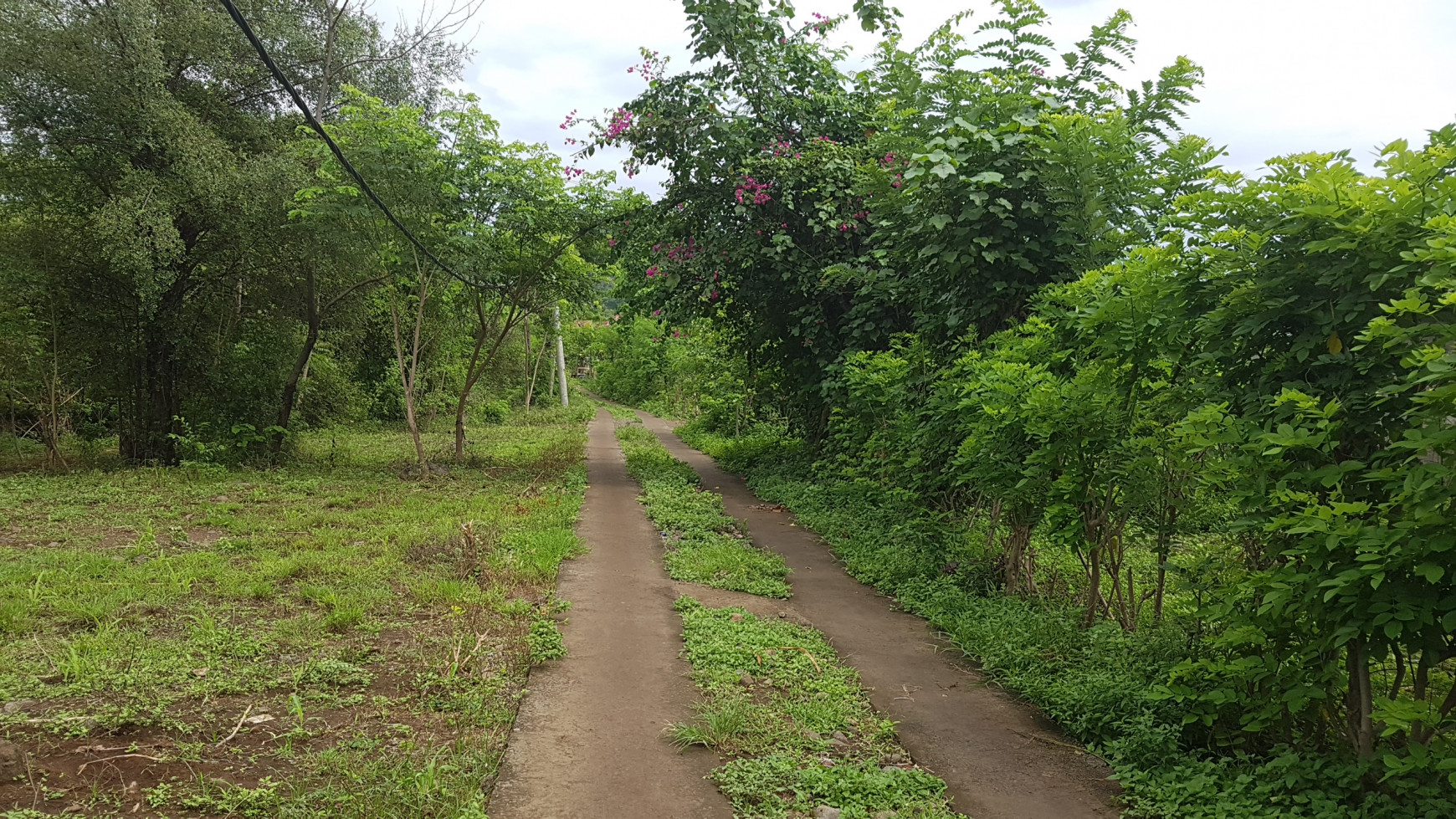 Land for sale in Pemuteran