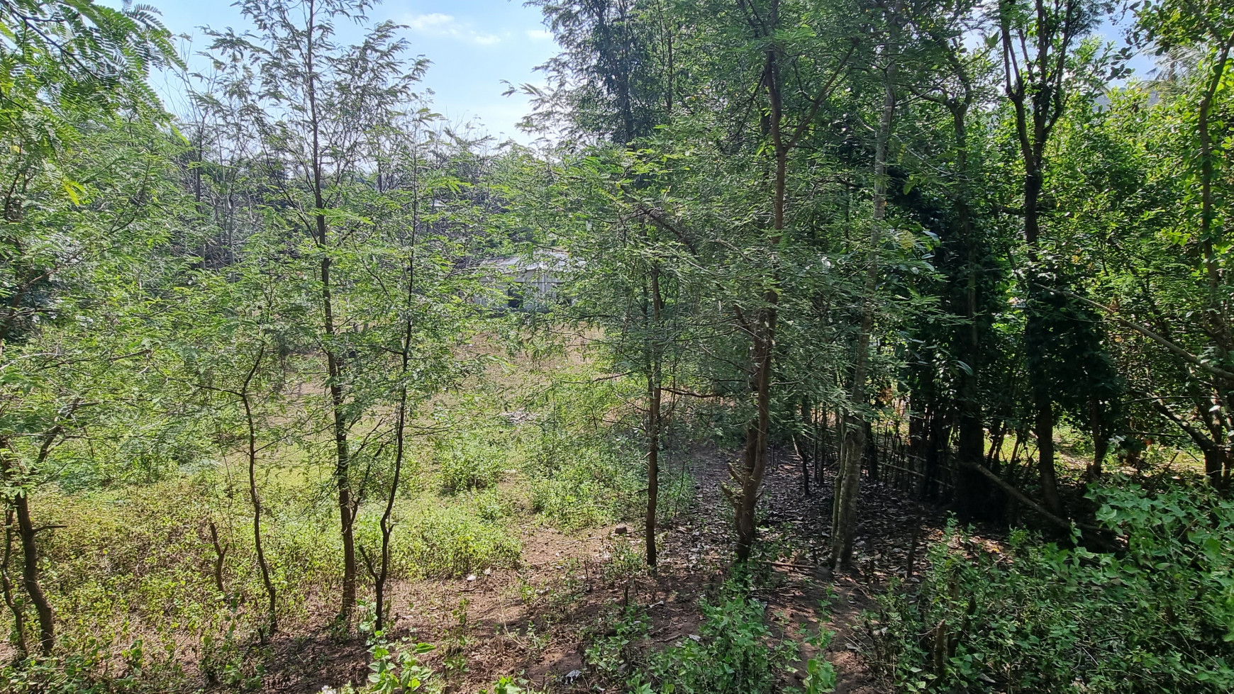 Land for sale - Great location and stunning view in West Lombok ( Senggigi)