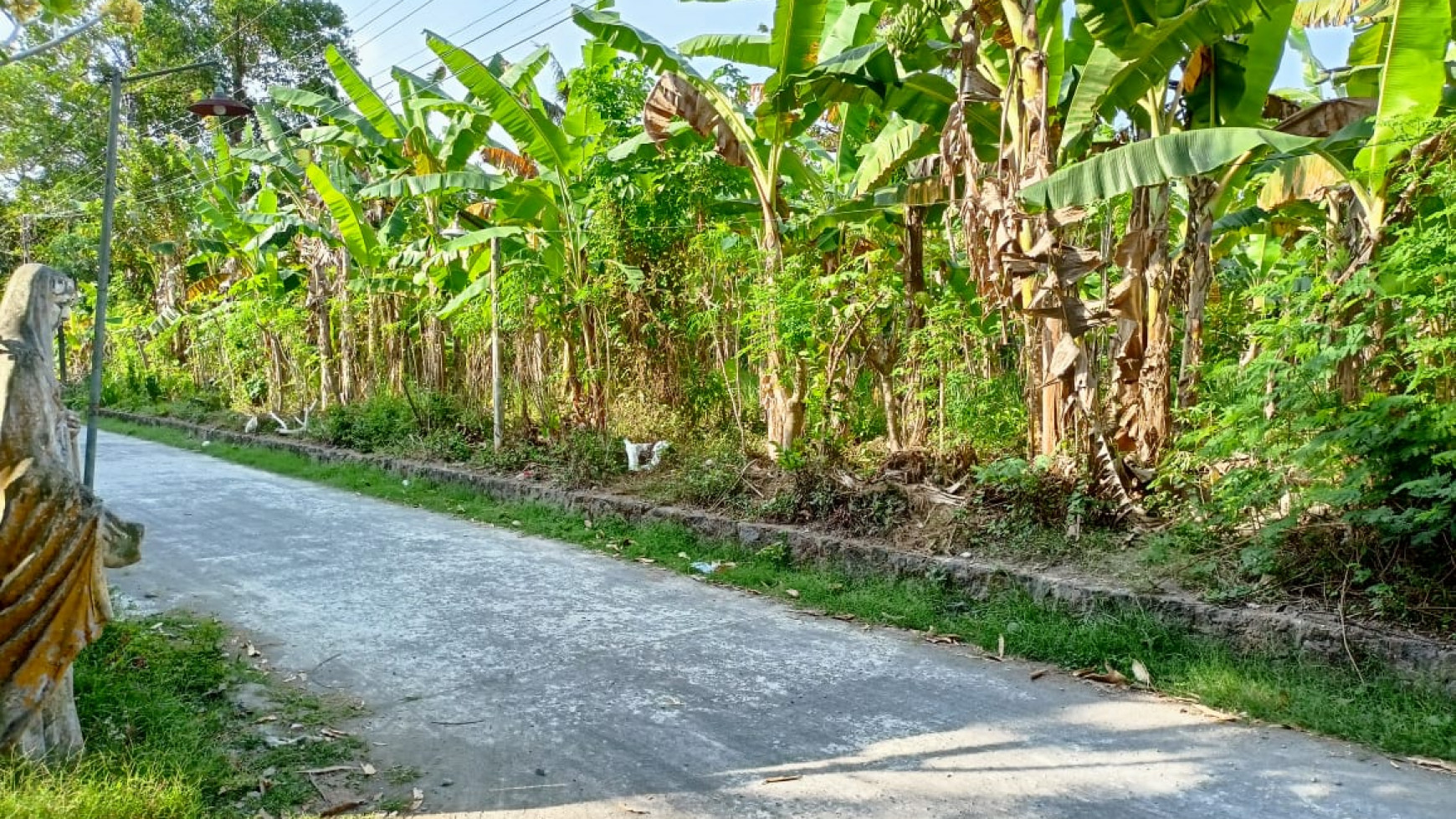 TANAH SELUAS 525 METER PERSEGI DI CABEN GANJURAN