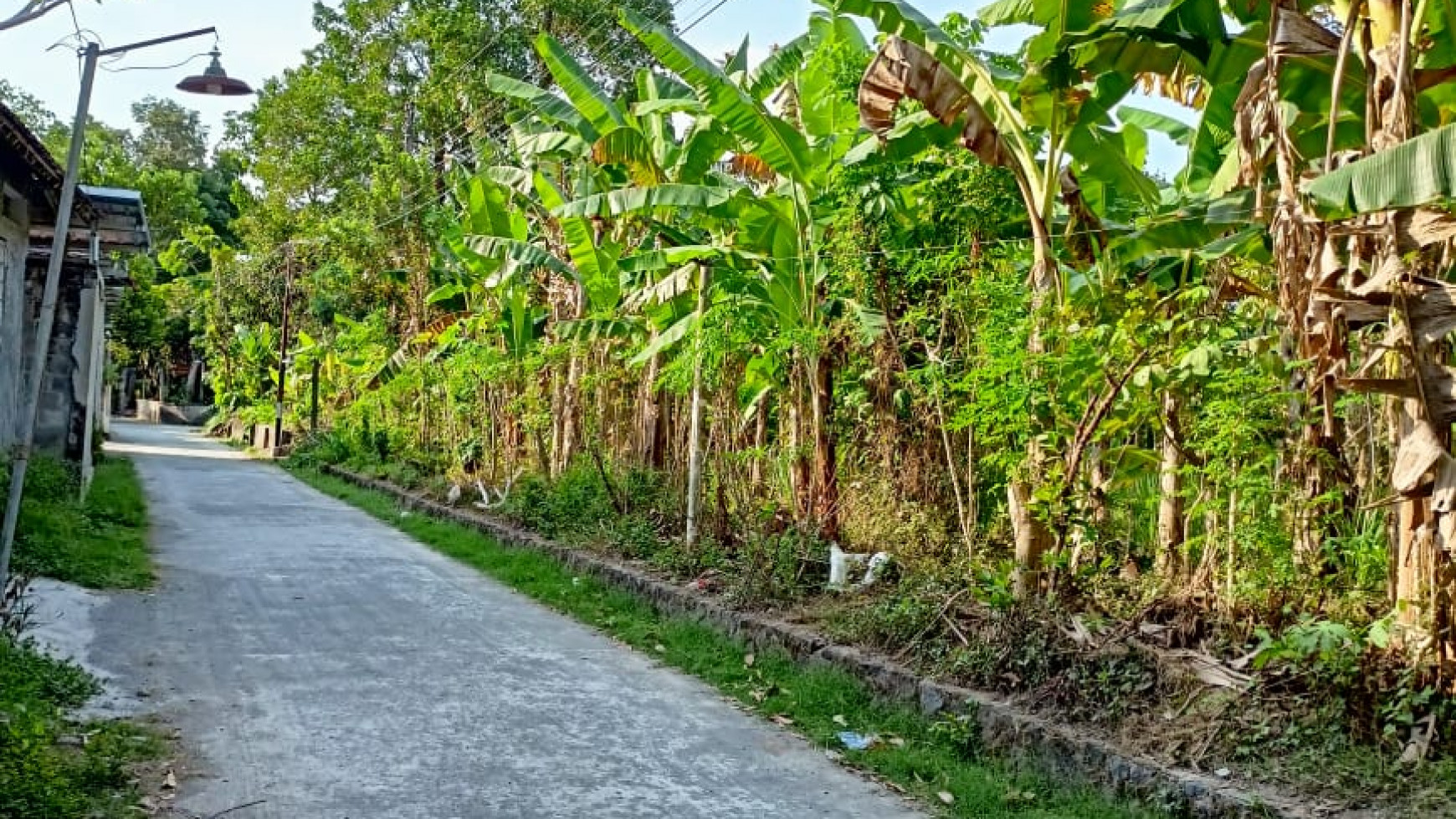 TANAH SELUAS 525 METER PERSEGI DI CABEN GANJURAN