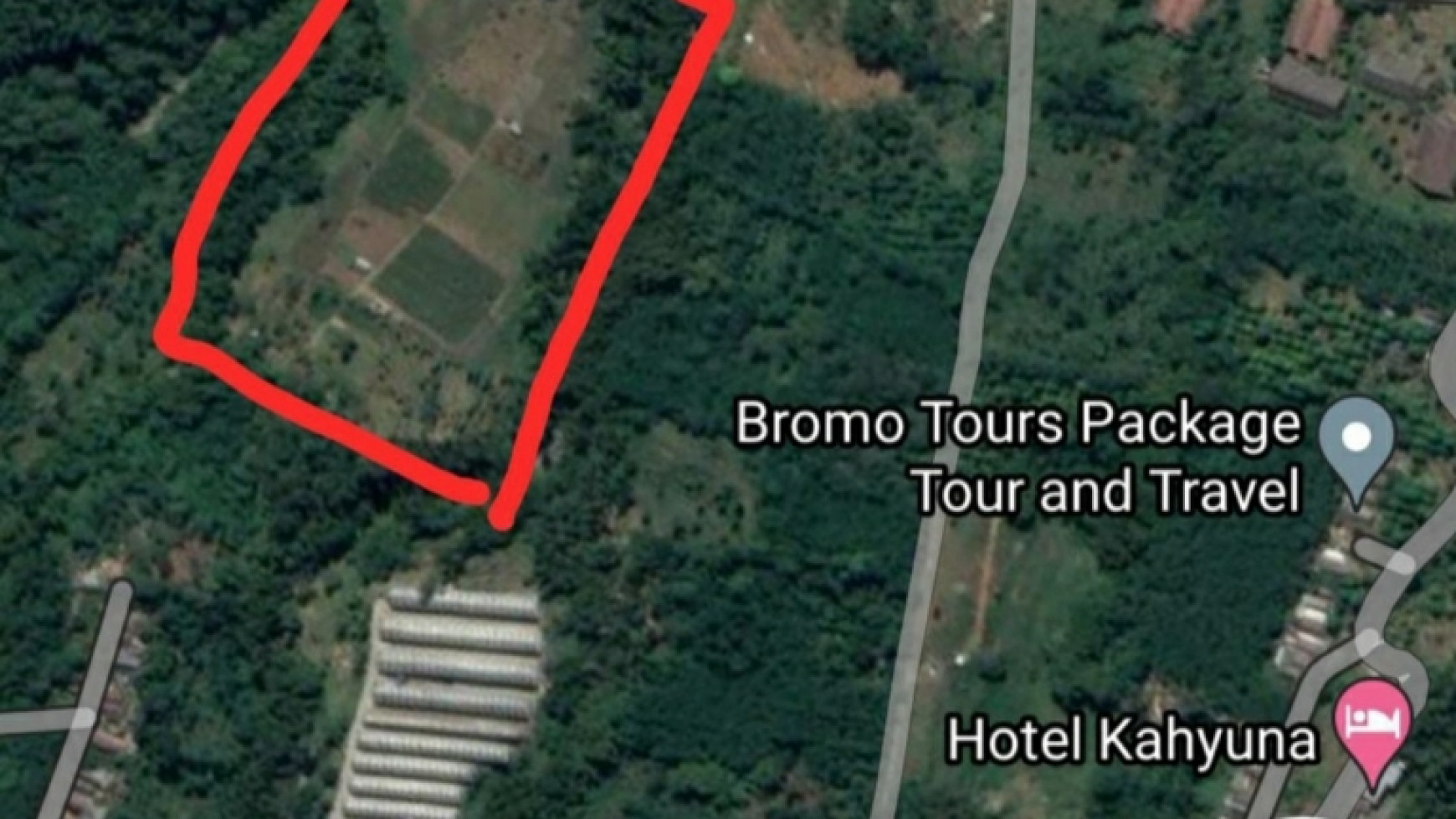 Dijual 2 Ha Tanah dekat Kawasan Wisata Gunung Bromo - Desa Sapikerep - Sukapura - Probolinggo- Jawa Timur cocok Buat Hotel , Resort , Cafe , Pusat Oleh-oleh dll.