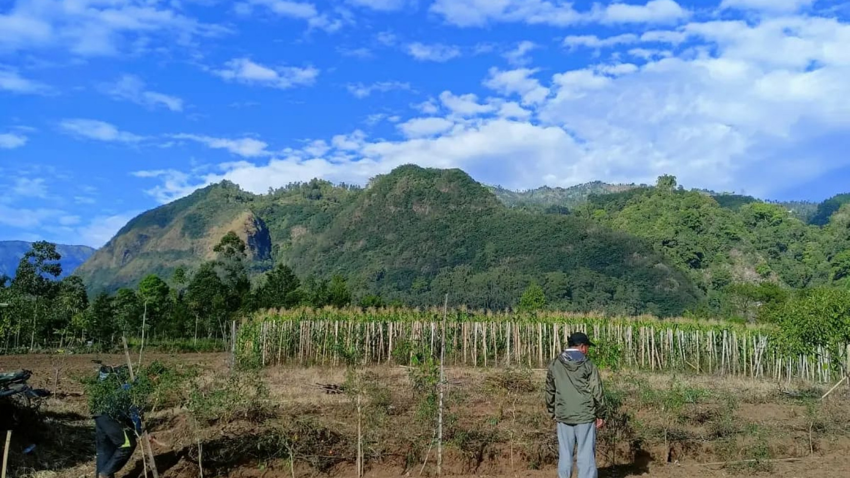 Dijual 2 Ha Tanah dekat Kawasan Wisata Gunung Bromo - Desa Sapikerep - Sukapura - Probolinggo- Jawa Timur cocok Buat Hotel , Resort , Cafe , Pusat Oleh-oleh dll.