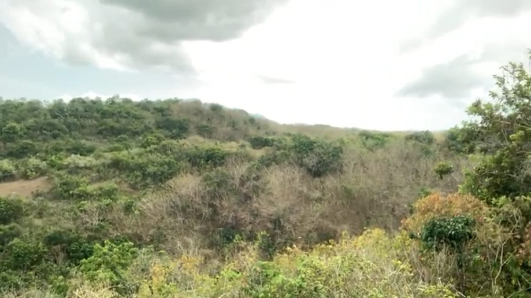 Kavling Cocok Ruang Usaha dan Dekat Pantai @Nusa Penida