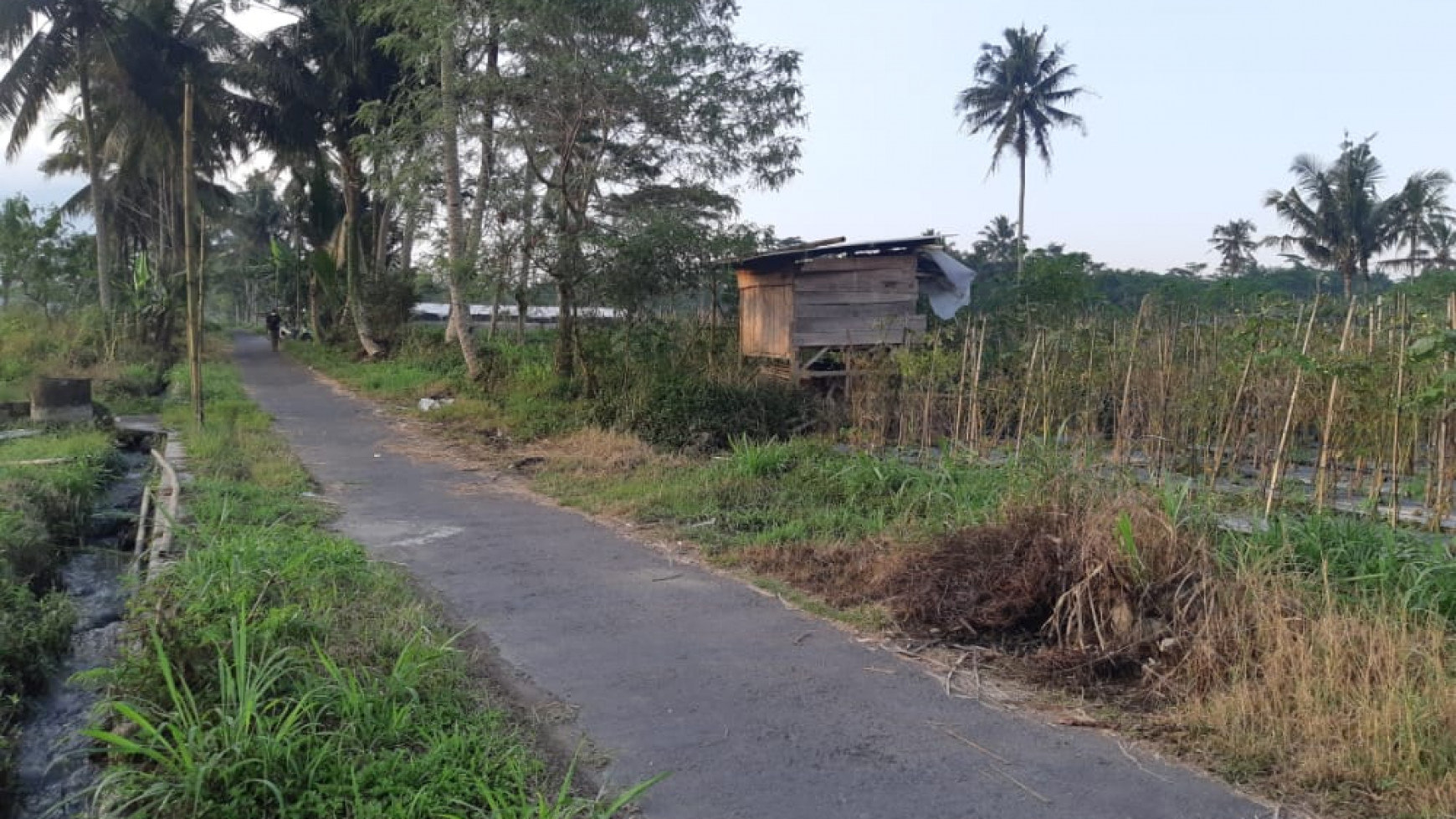 TANAH SELUAS 4554 METER DI CANGKRINGAN