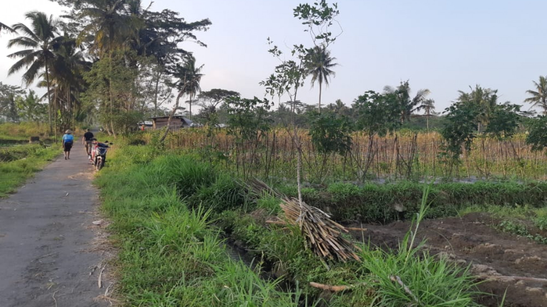 TANAH SELUAS 4554 METER DI CANGKRINGAN