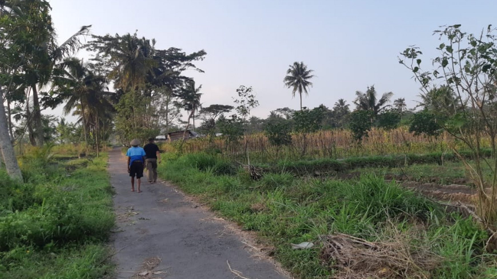 TANAH SELUAS 4554 METER DI CANGKRINGAN