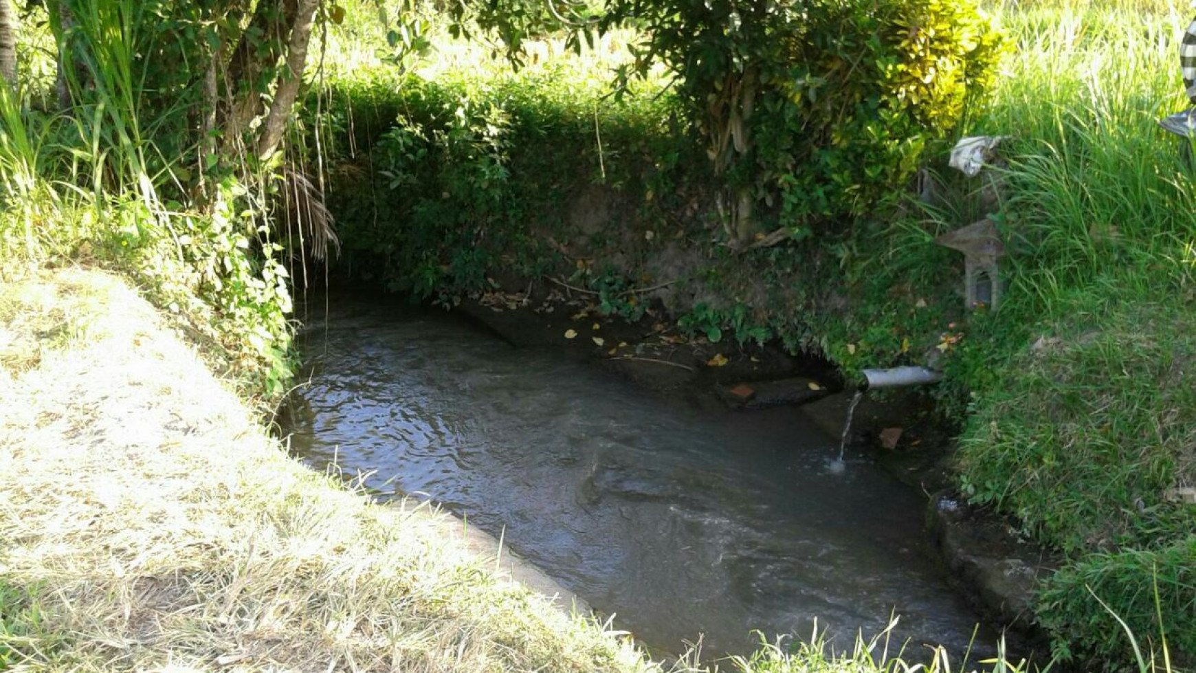 SEBIDANG TANAH UNTUK USAHA