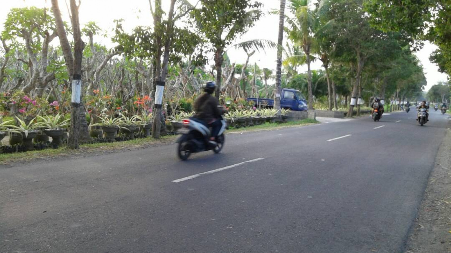 SEBIDANG TANAH UNTUK USAHA