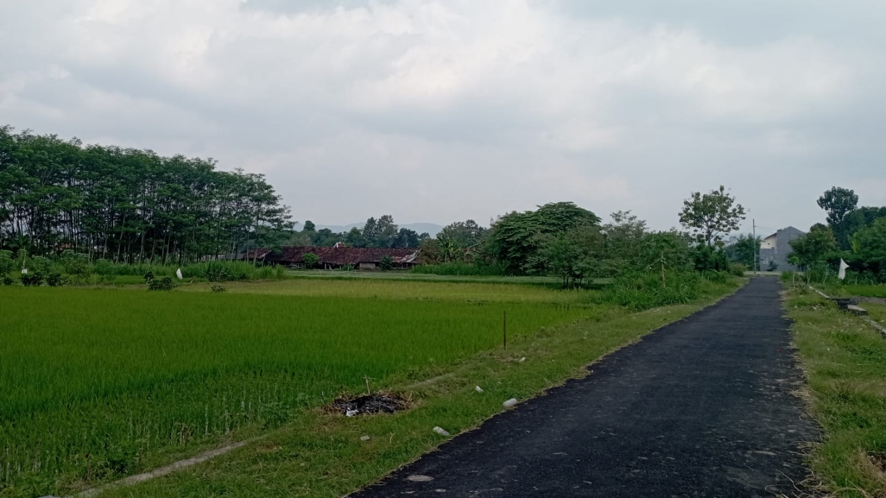 Tanah Sawah 958 Meter Persegi  Dekat Embung Sendangtirto Berbah