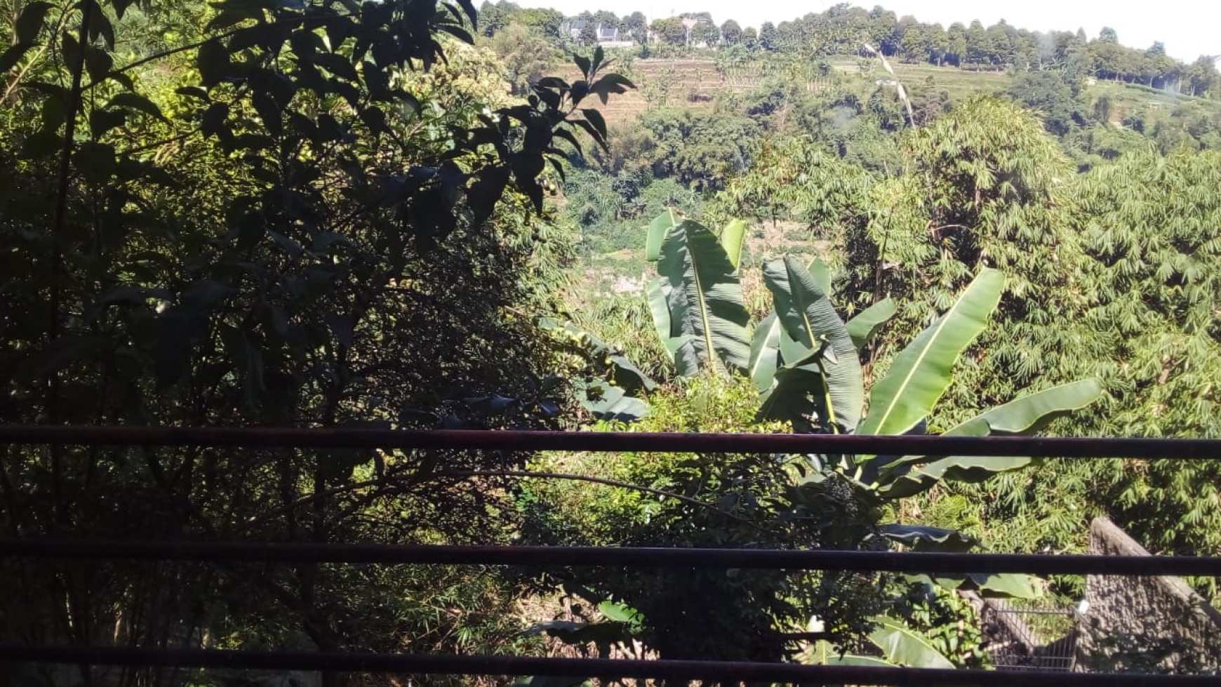 Rumah Asri nuansa pegunungan di Girihiem Sariwangi 