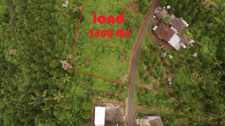 LARGE PLOT FOR SALE WITH OCEAN VIEW NEAR LOVINA