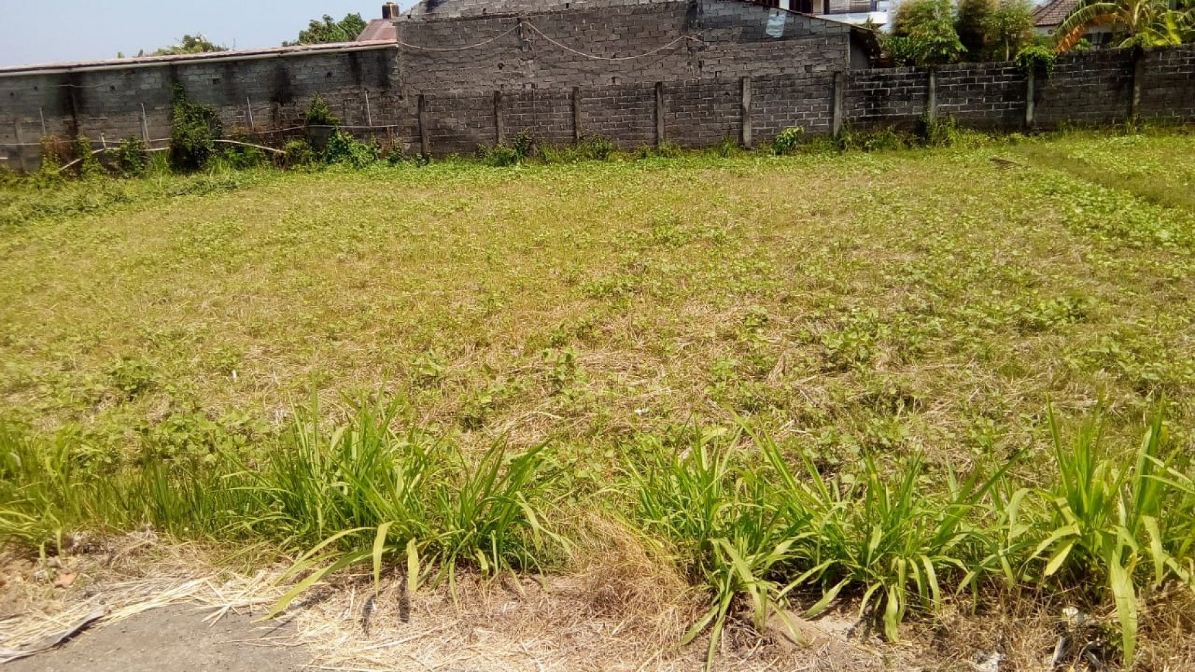 Nice small land for sale in the middle of Lovina.