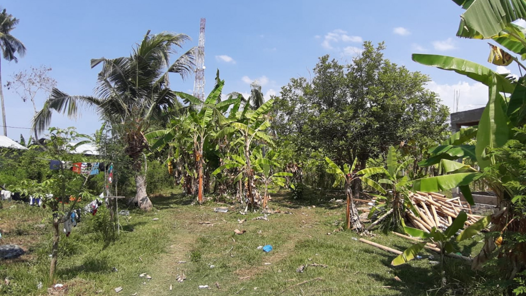 200 M2 Land For Sale in Kalibukbuk Village, Lovina Area