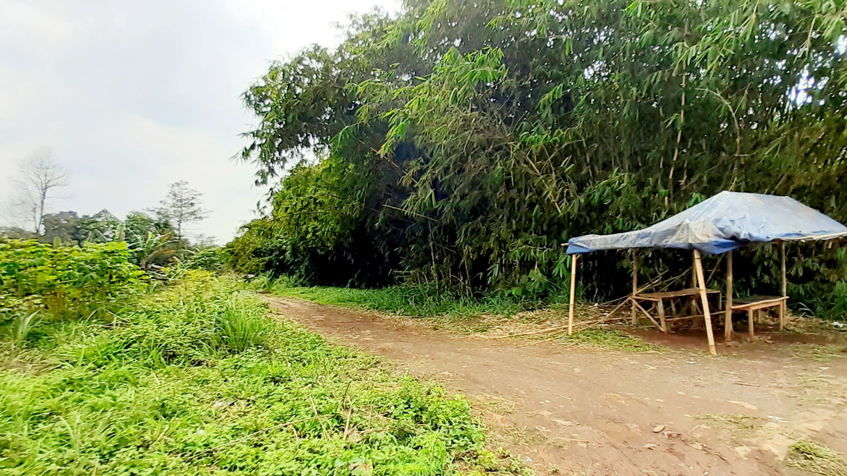 Kavling Komersial  di Cikoleang, Bogor Jawa Barat