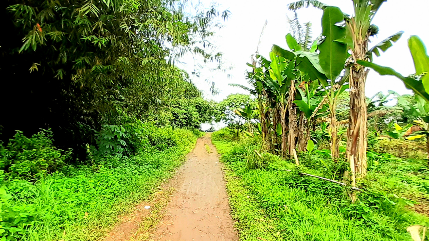 Kavling Komersial  di Cikoleang, Bogor Jawa Barat