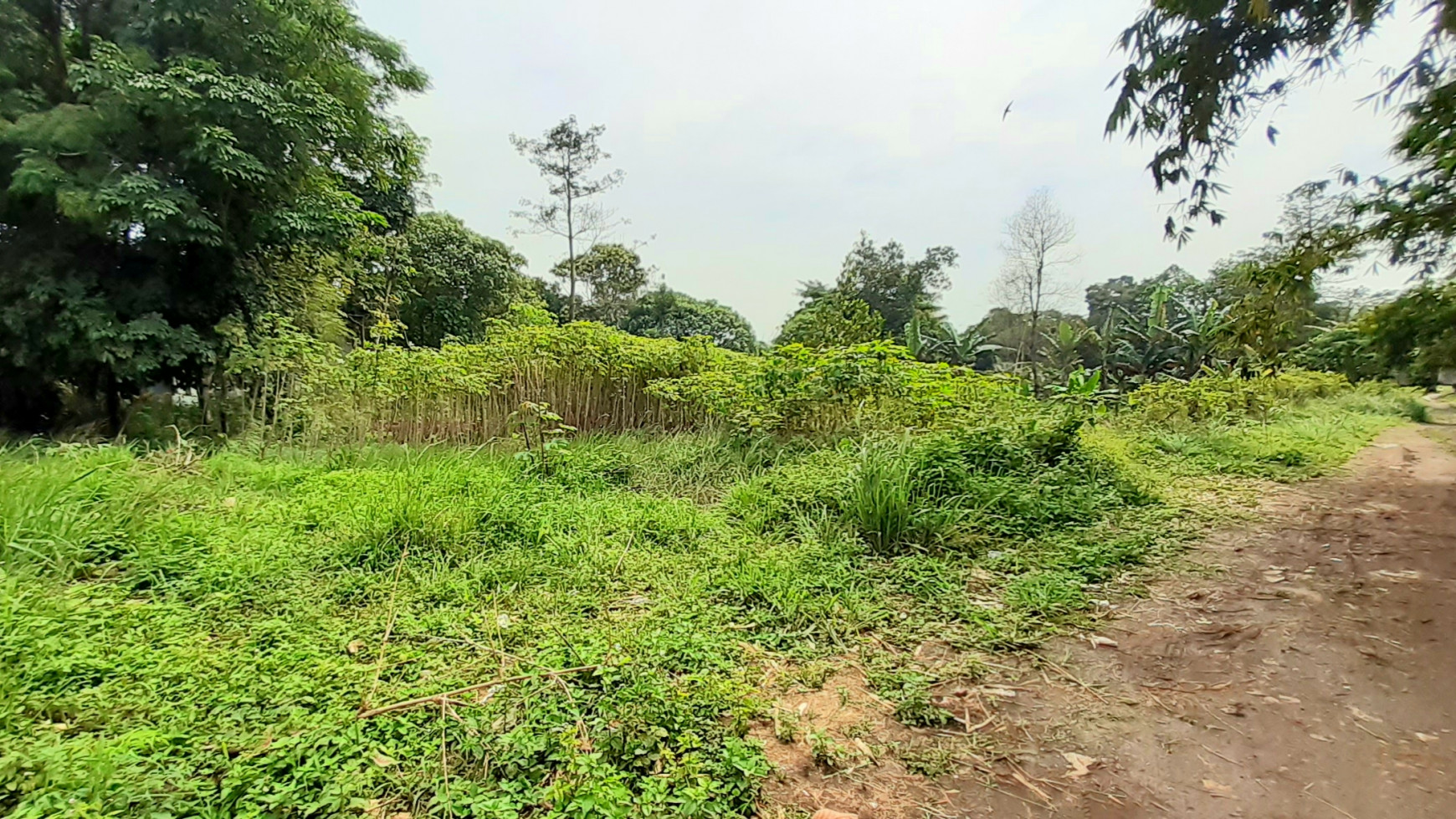 Kavling Komersial  di Cikoleang, Bogor Jawa Barat