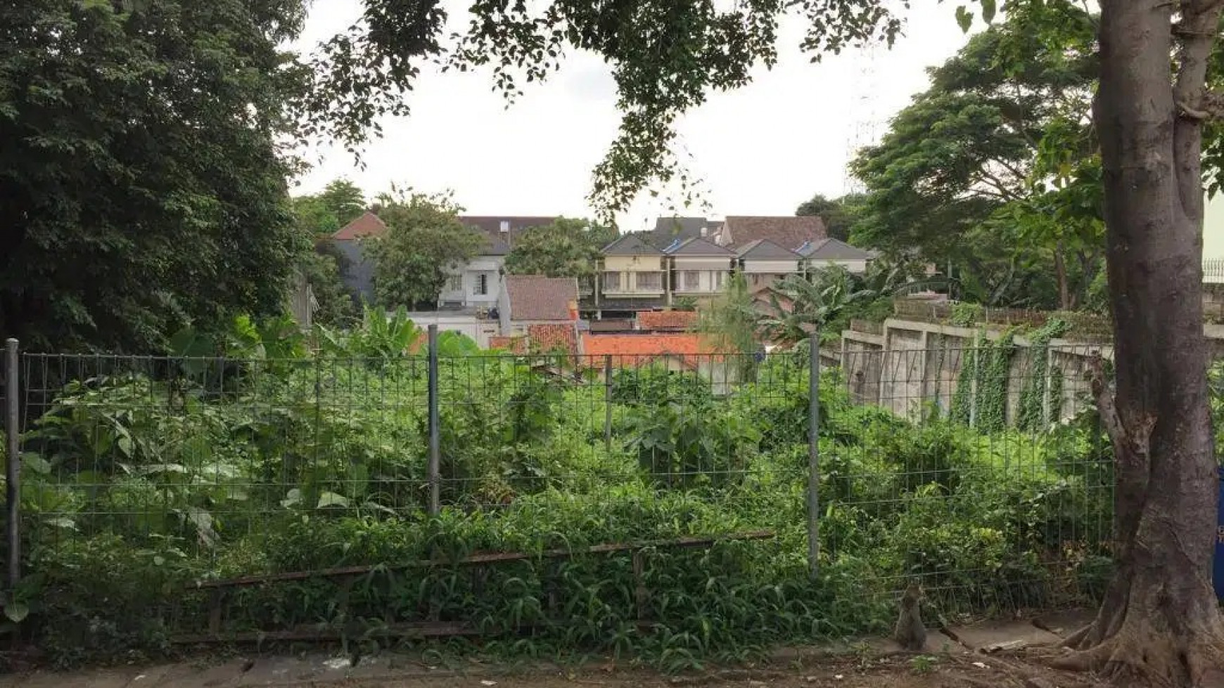 Dijual Cepat Tanah Di Pasar Minggu, Jakarta Selatan.