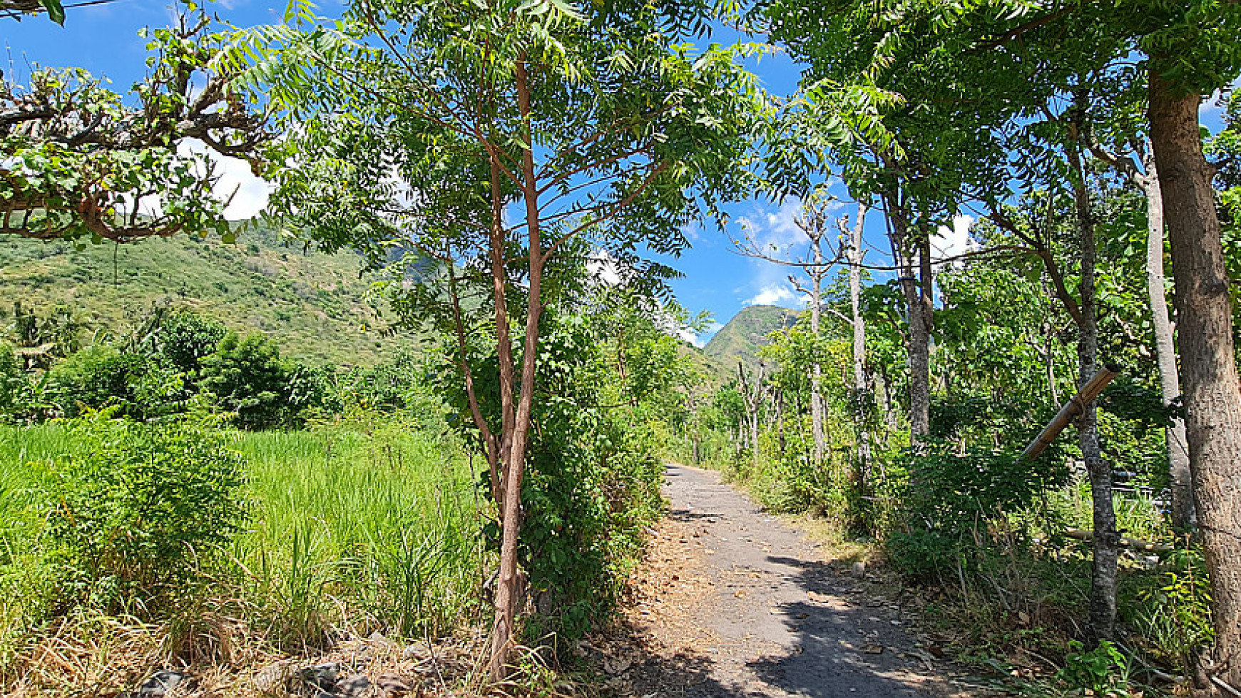 Absolute Beachfront Commercial Zoning Freehold Land  of 2,770 Sqm with 65 meter wide beachfront In Amed