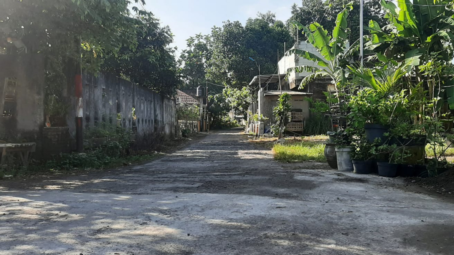 Rumah Joglo Lokasi Asri Cocok Untuk Rumah Tinggal / Guest House Di Kasongan bantul