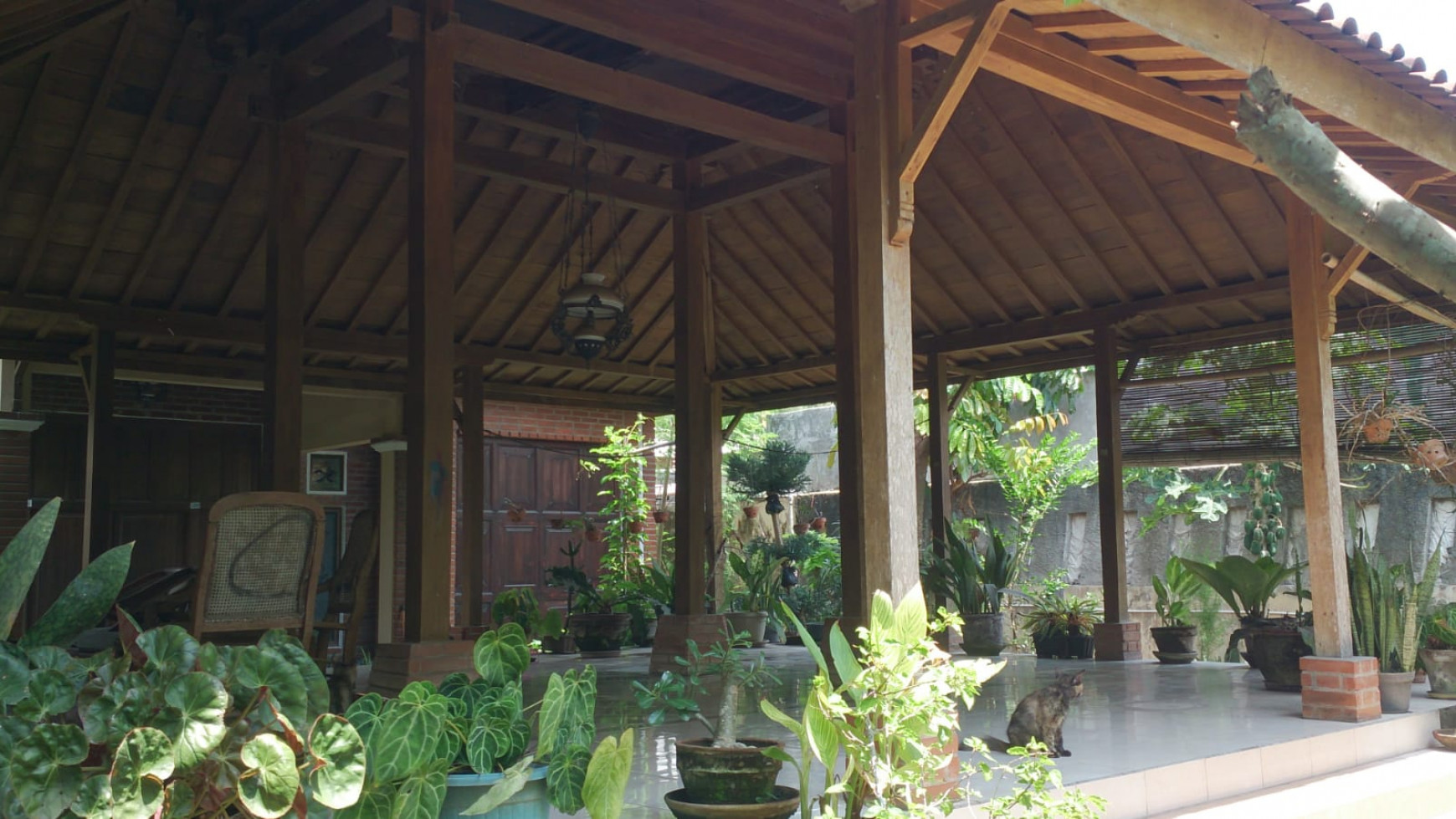 Rumah Joglo Lokasi Asri Cocok Untuk Rumah Tinggal / Guest House Di Kasongan bantul