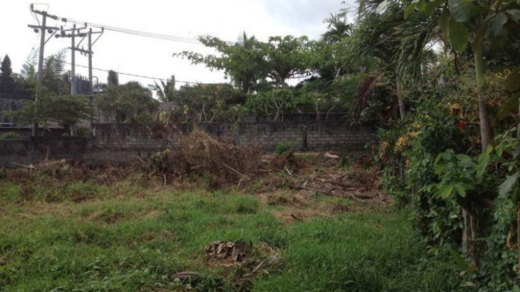 Land Freehold 1800 Sqm In Great Location Petitenget