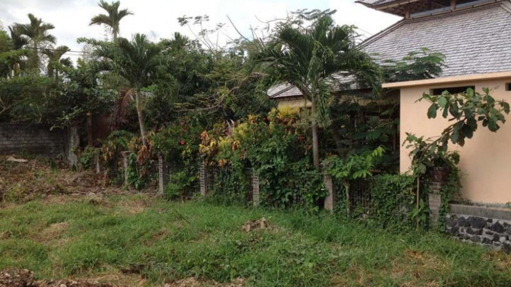 Land Freehold 1800 Sqm In Great Location Petitenget