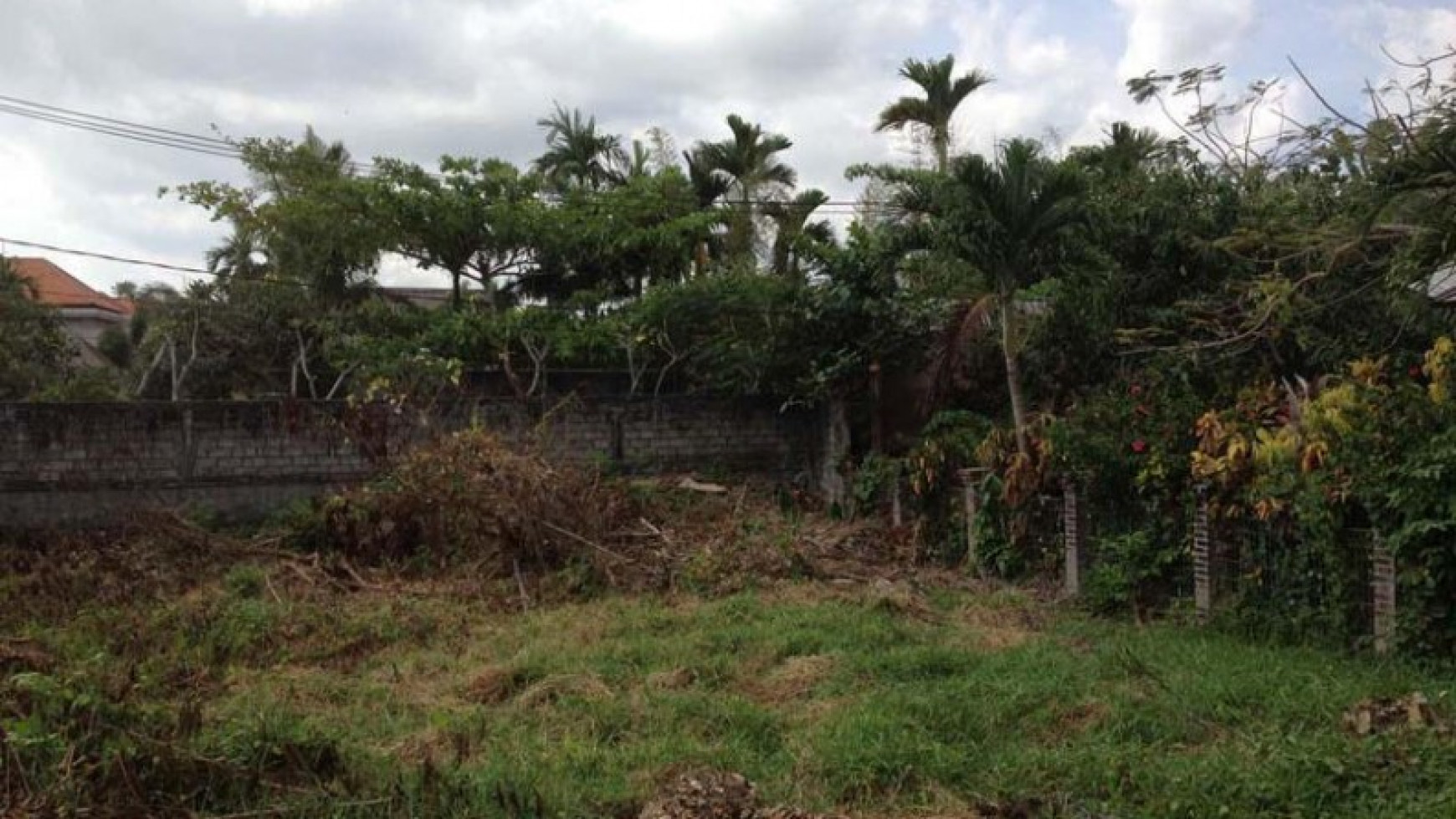 Land Freehold 1800 Sqm In Great Location Petitenget