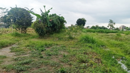 Tanah Sawah 989 Meter Persegi Cocok Untuk Usaha Agro, Tlogoadi Sleman